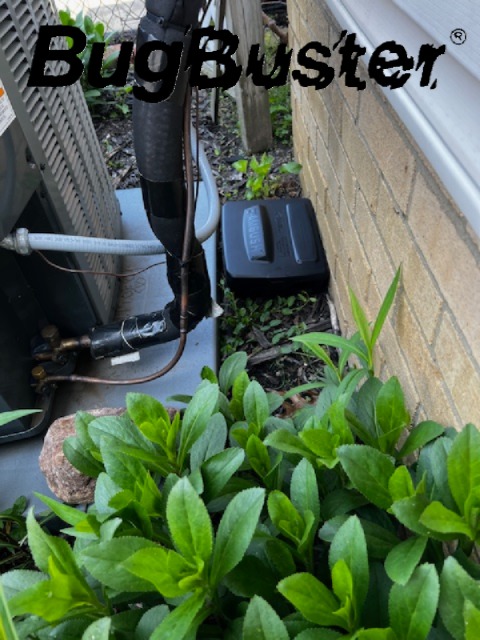 Exterior Rodent Station