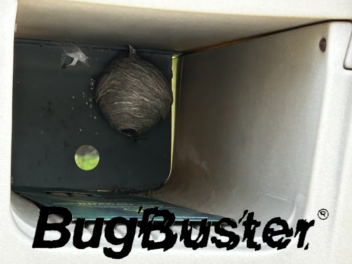 Mailbox Nest